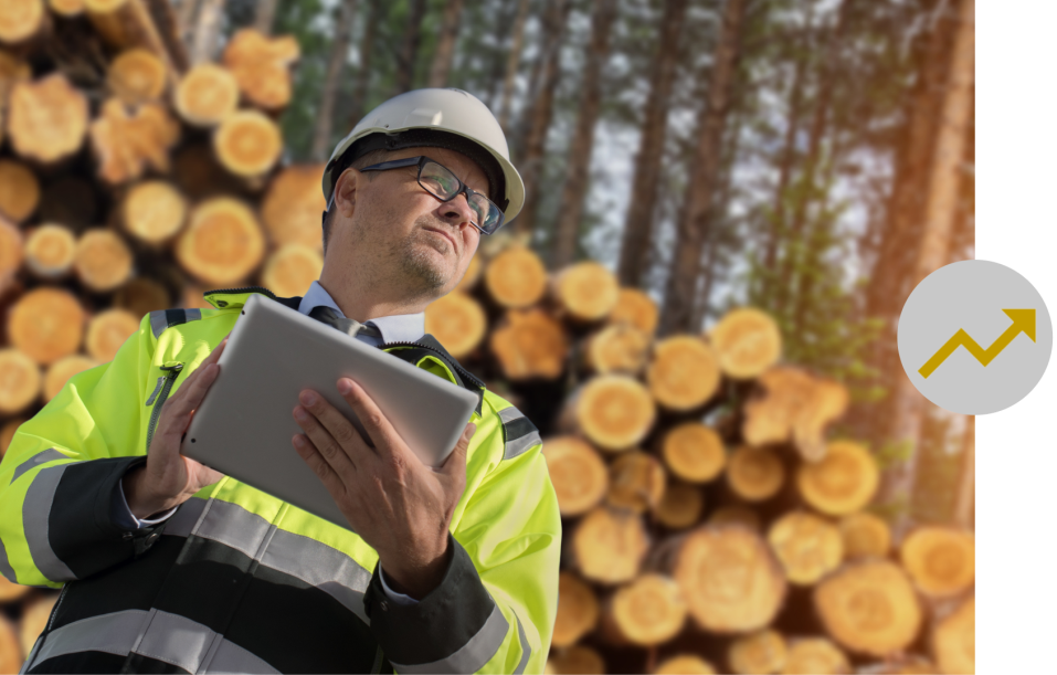 Qualitätsprüfung Holz